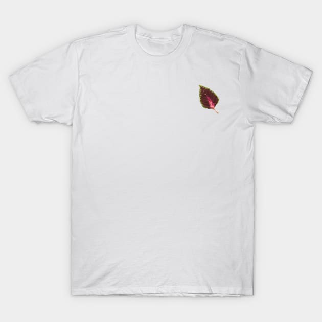 Coleus Chocolate Mint Leaf T-Shirt by Khotekmei